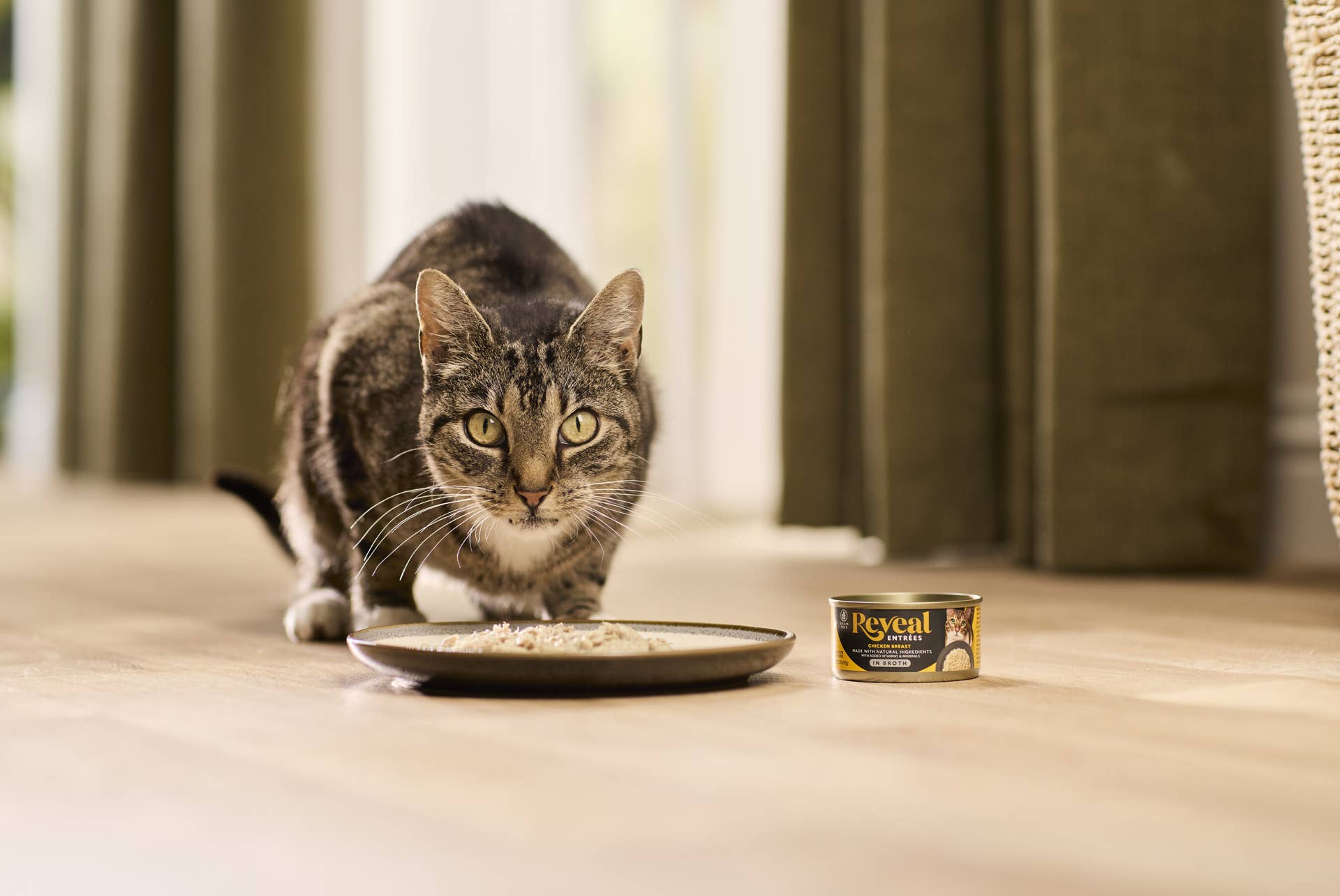 Reveal Launches New Broth-Based Cat Food and Treats - Paw Nation