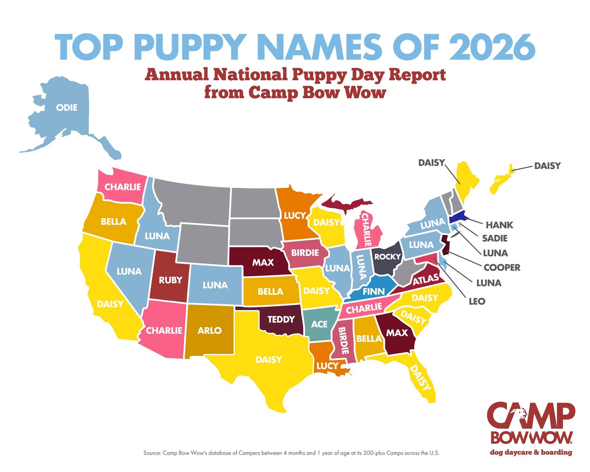 top-10-puppy-names-of-2026-luna-leads-the-pack-paw-nation