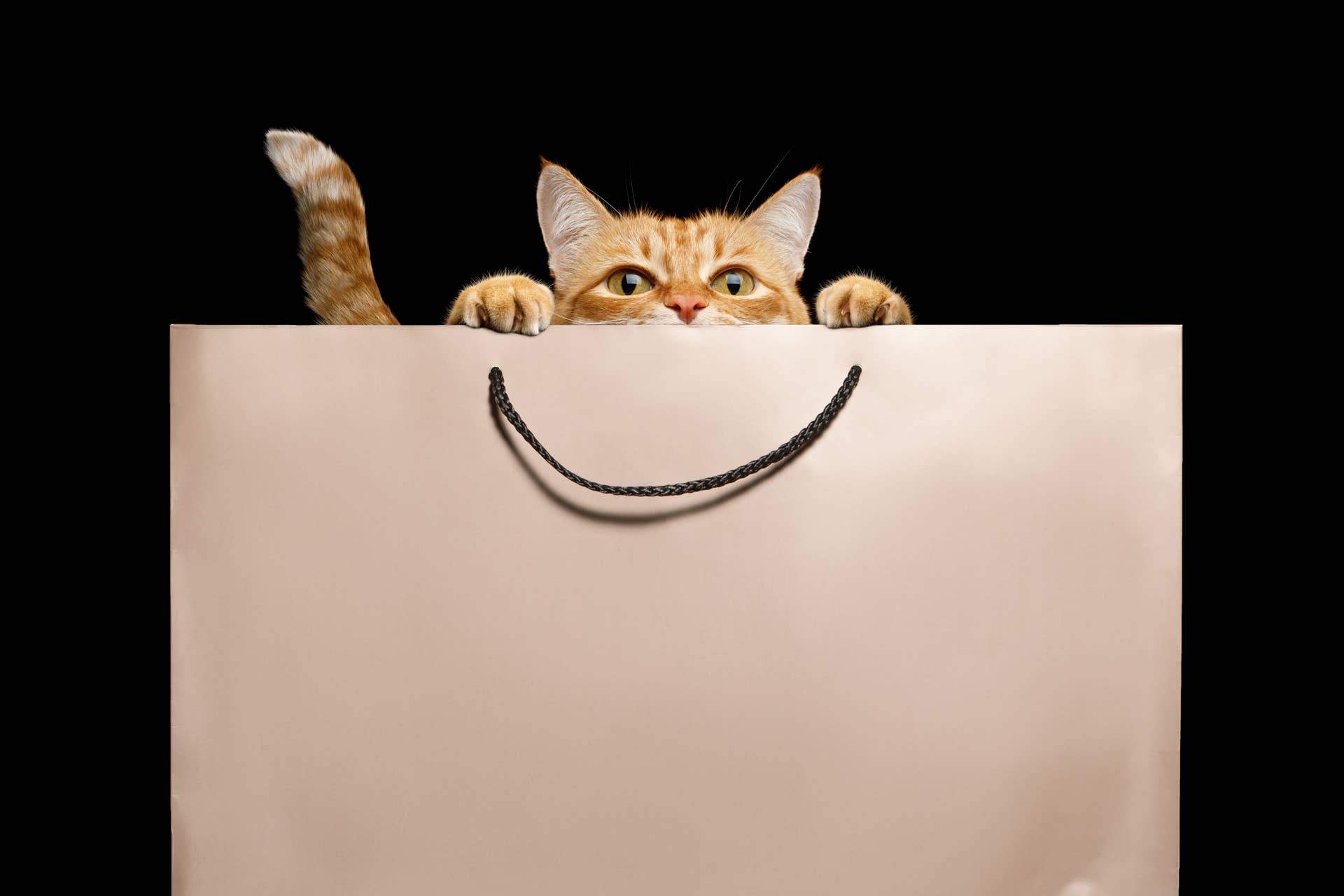 Breaking Pet and Animal News - Paw Nation
