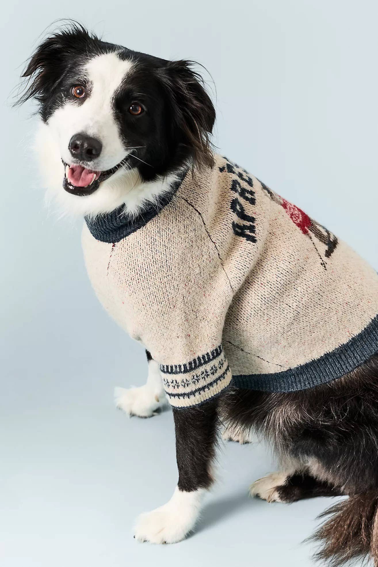 Furb x Anthropologie Pet Sweater Is Cozy Dog Style for Winter - Paw Nation